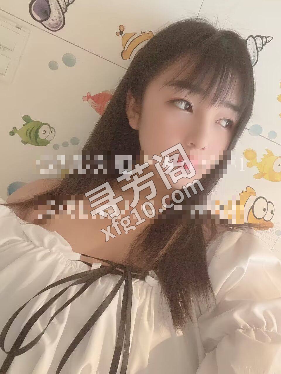 静安 号是白衣 2