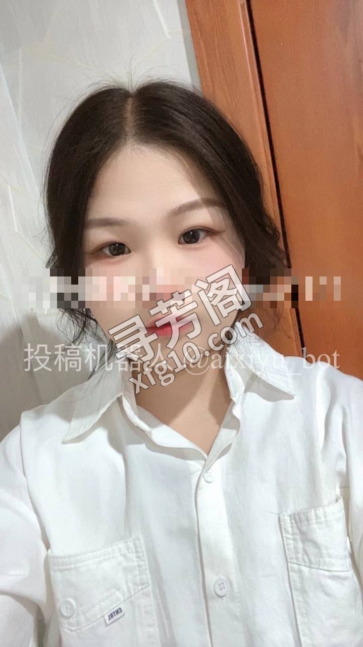 合肥楼凤 2