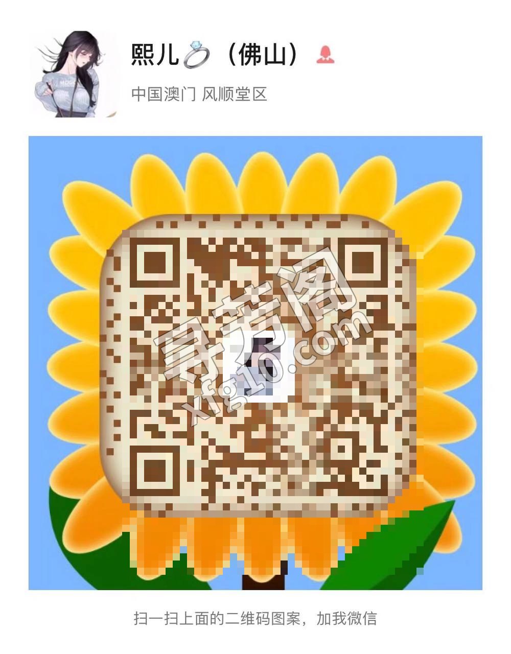 禅城 4