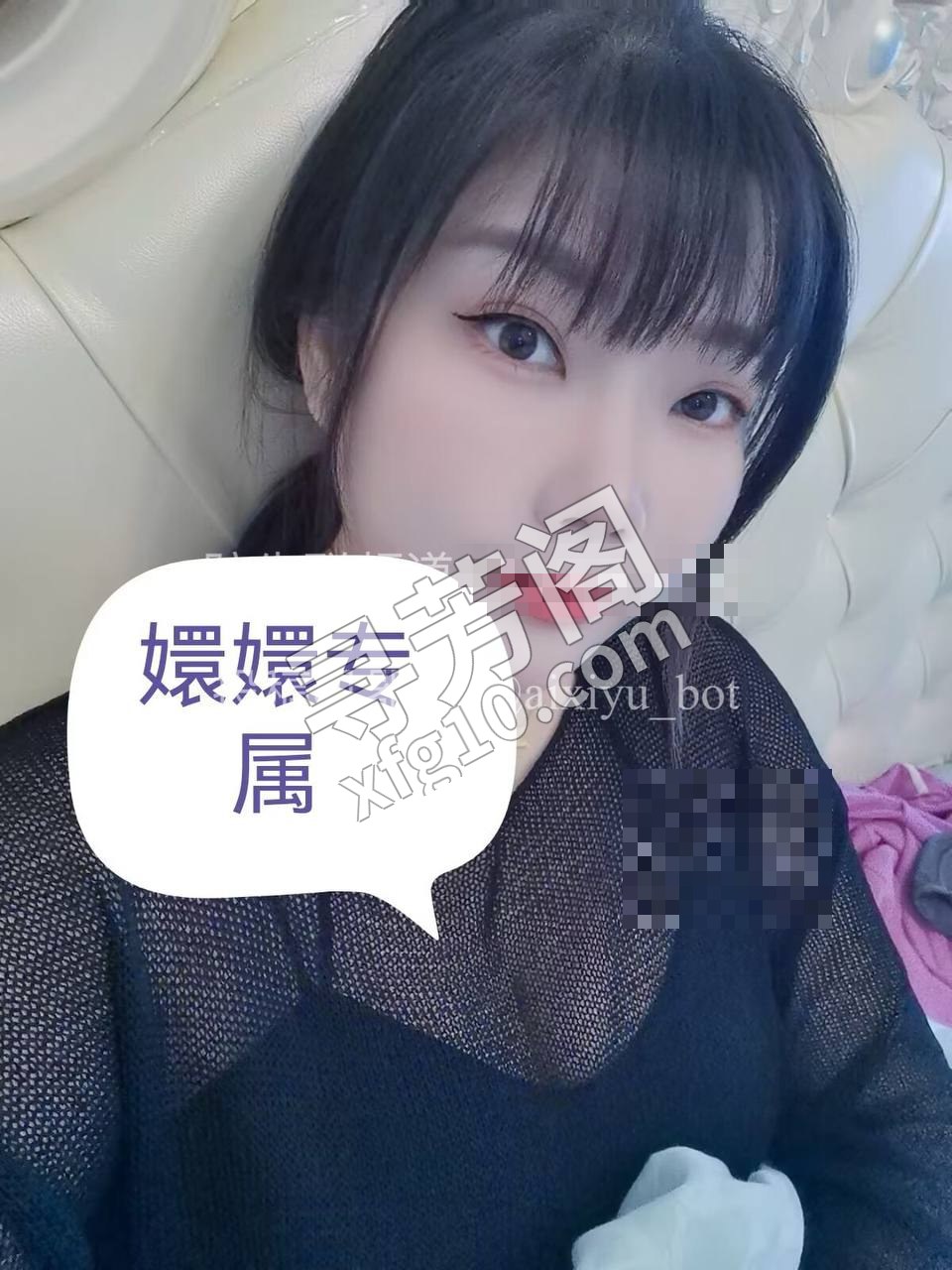 树木岭 500 2