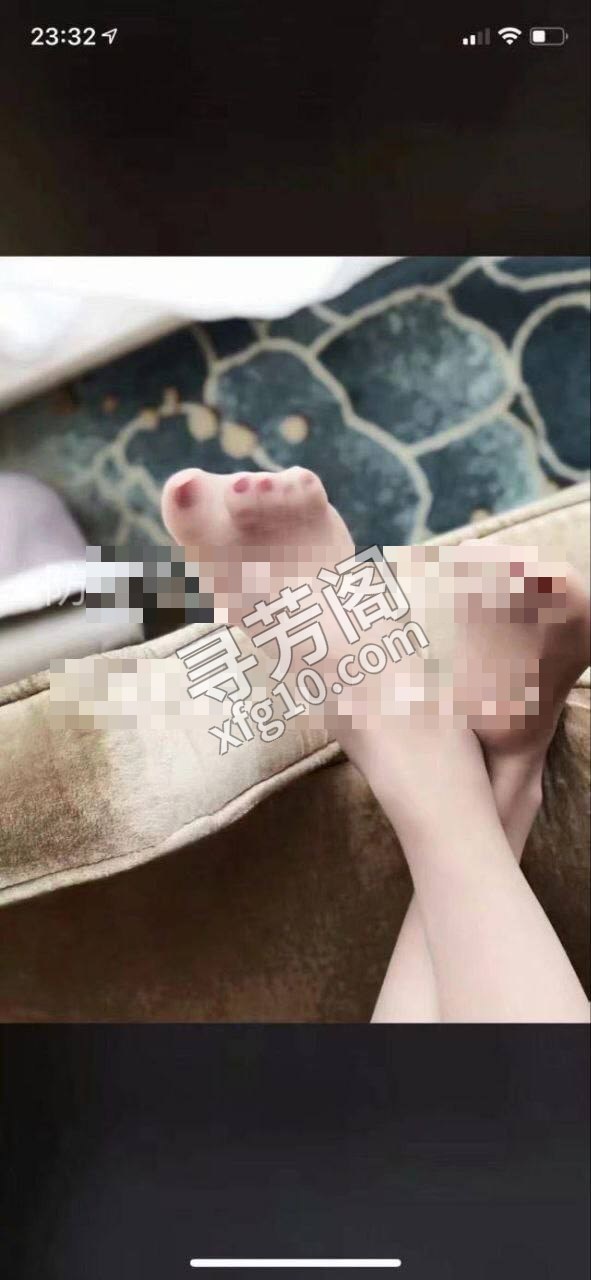 上海普陀楼凤 3