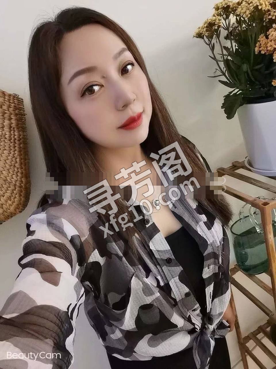 LL 盘 3