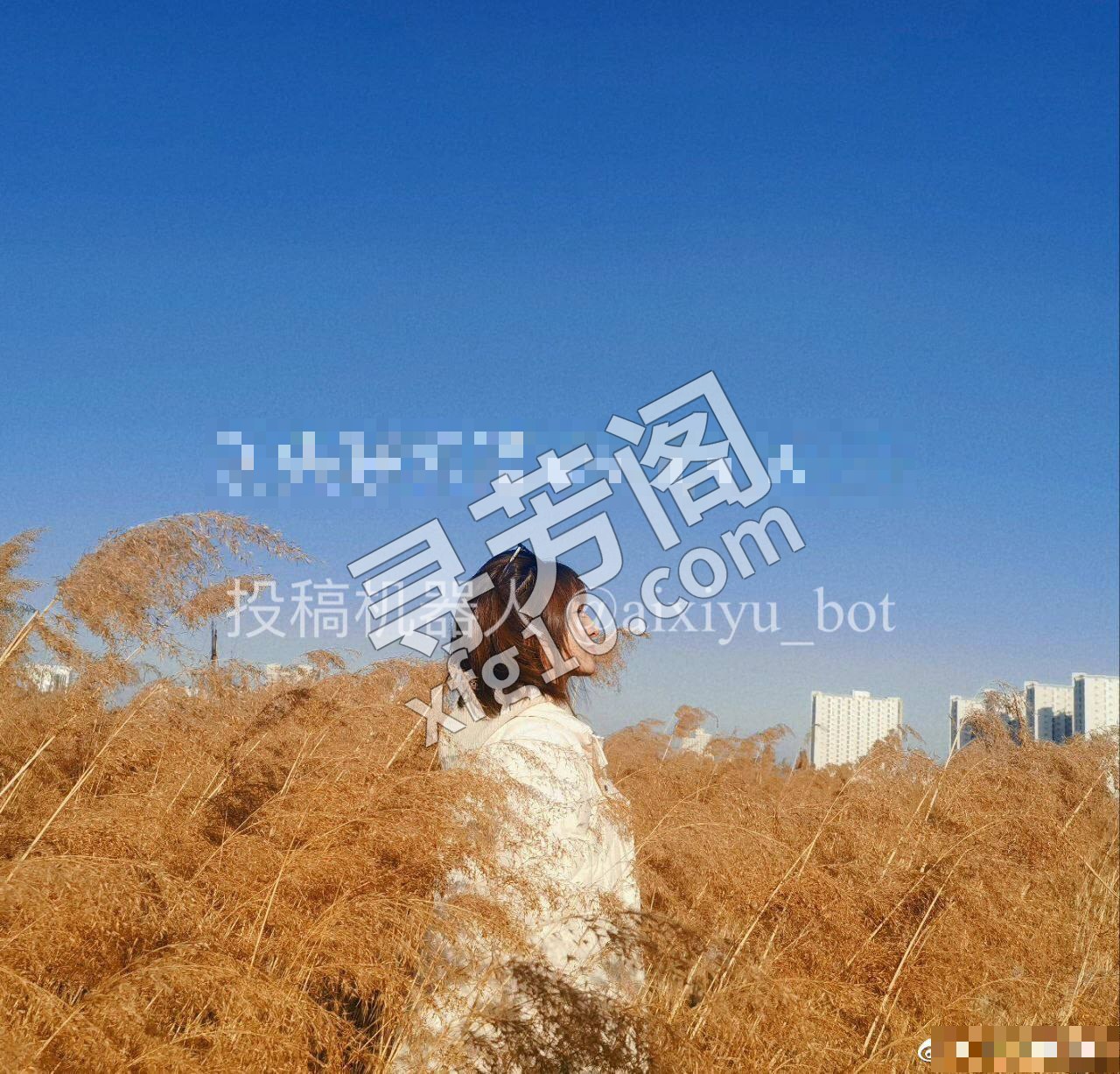 秦皇岛楼凤 2