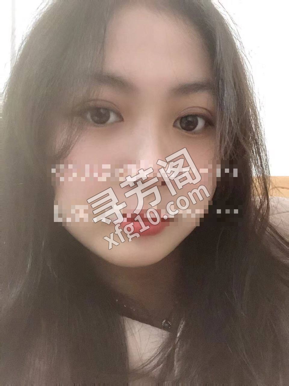 天津河东楼凤 3