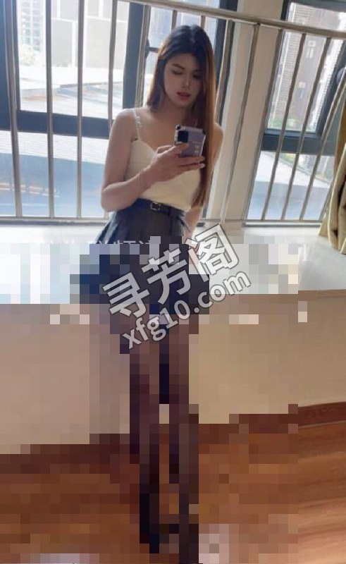 ting 禅城 500 2
