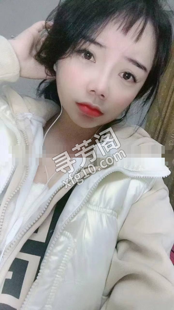 市区 2