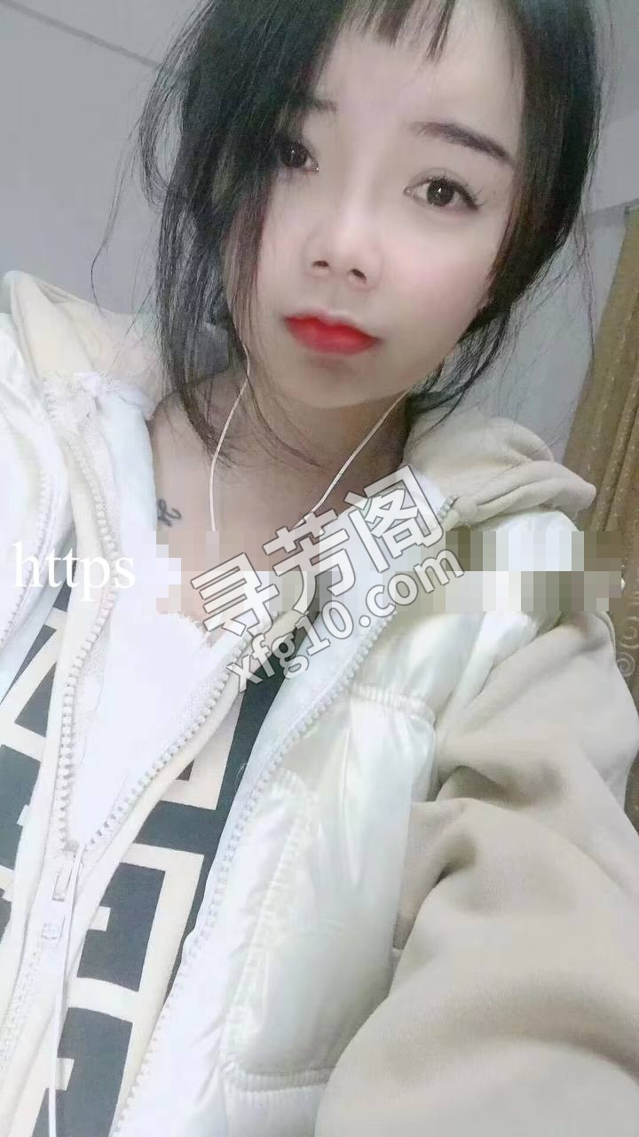 市区 3