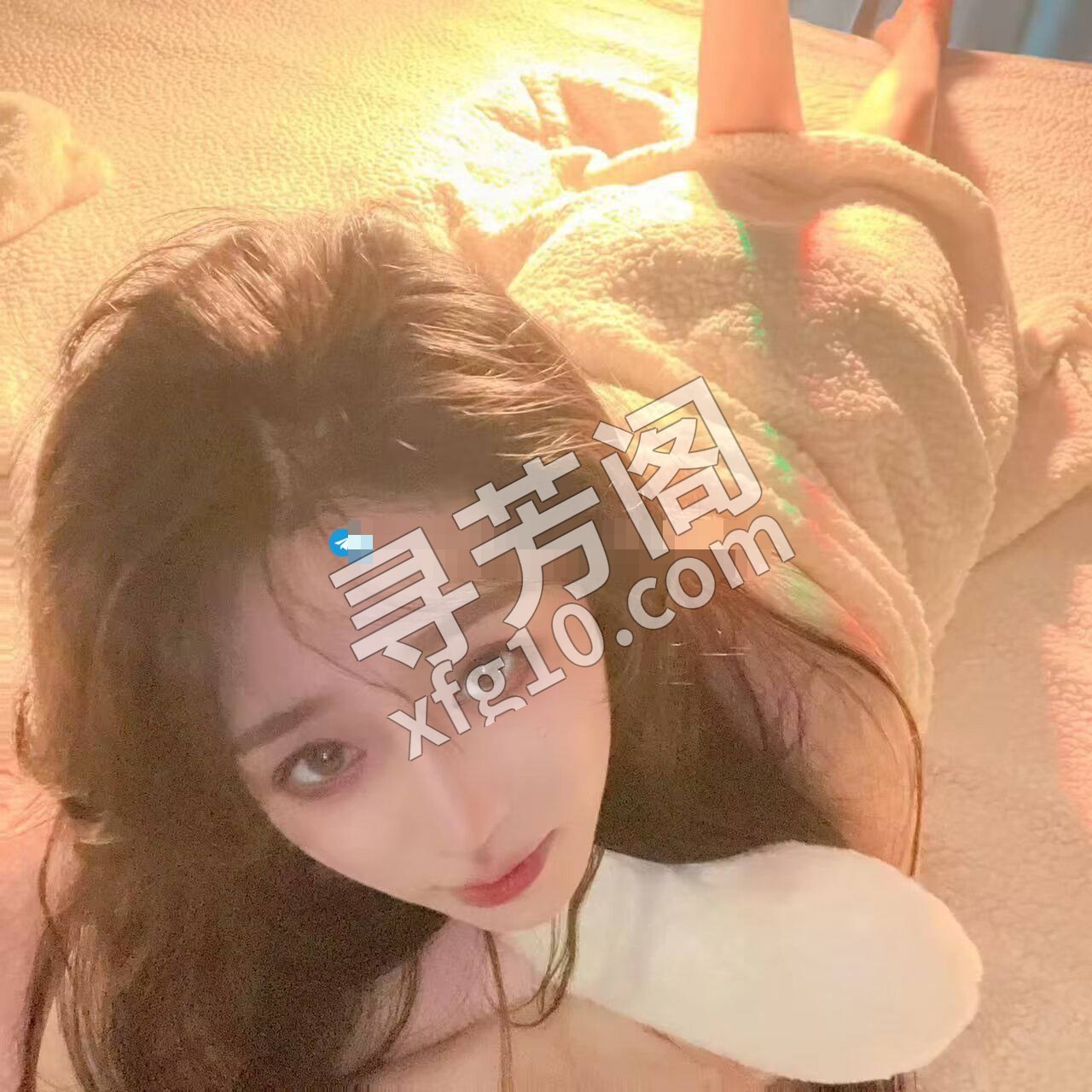 秦淮 3