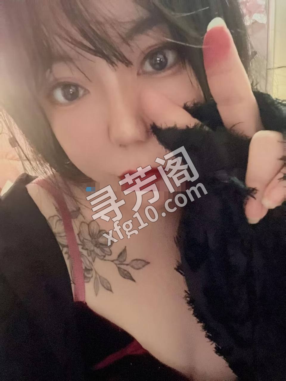 mm 袁家岗 2