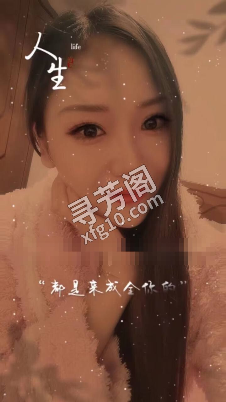 秦淮 40 3