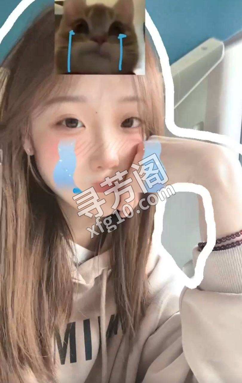 哈尔滨楼凤 3