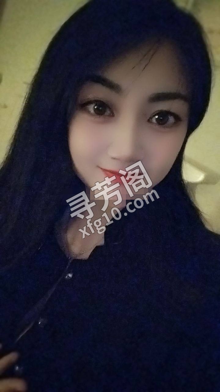 苏州苏州园楼凤 3