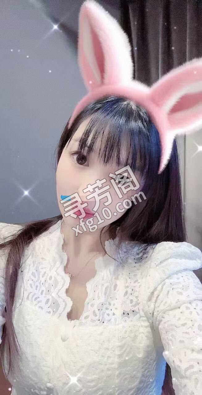 桥西区 400 2