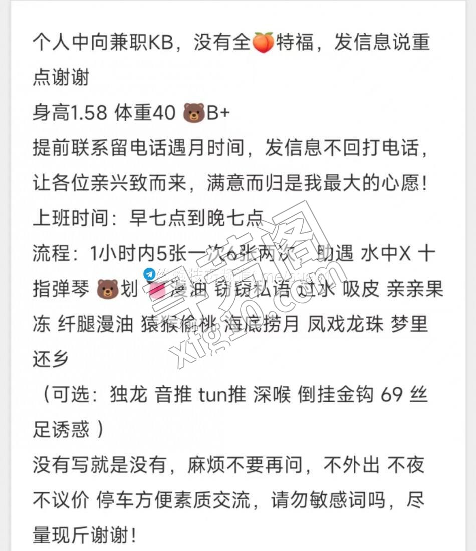 合肥楼凤 3
