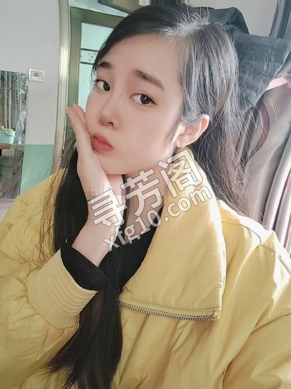 z 杨浦 2