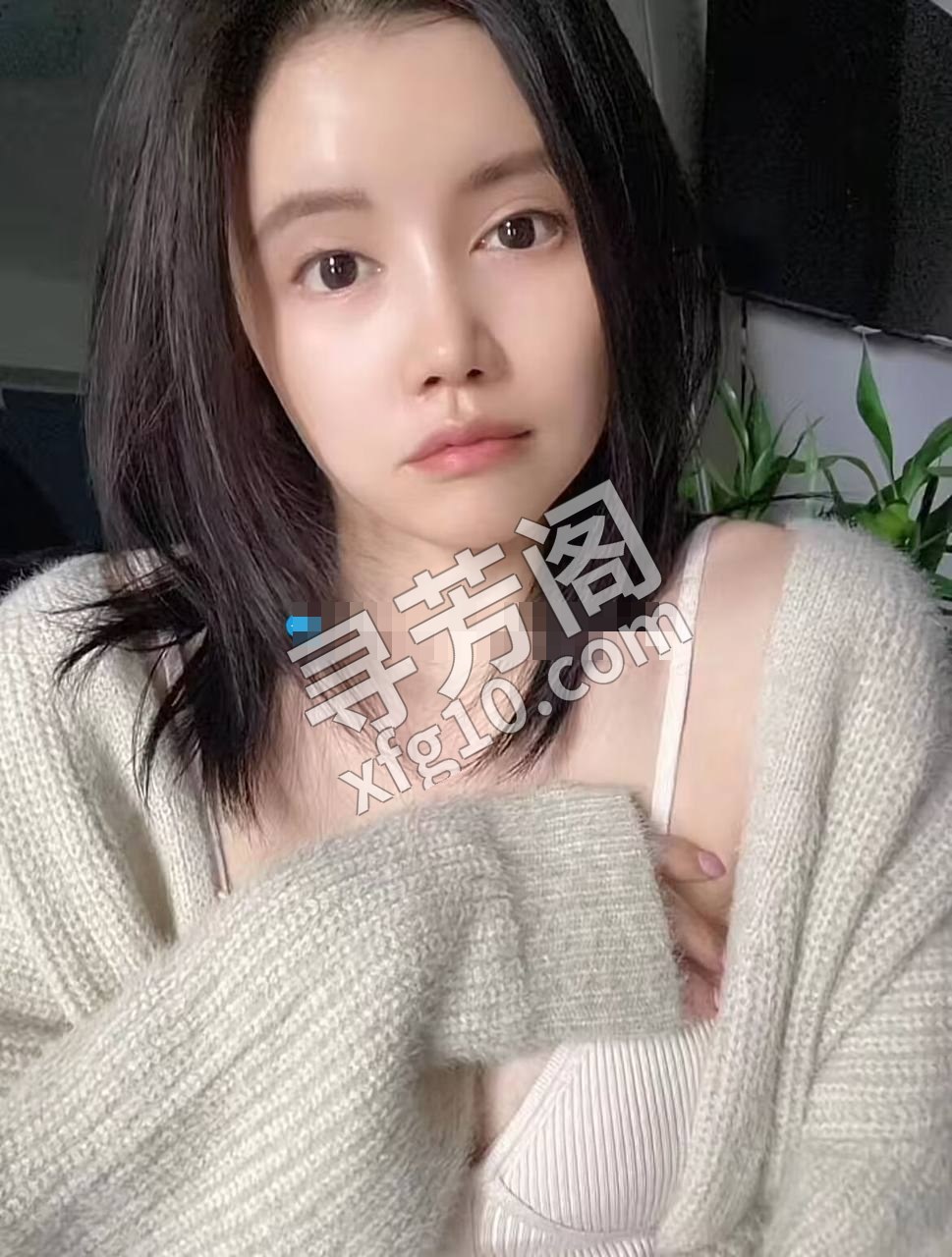金州 600 3