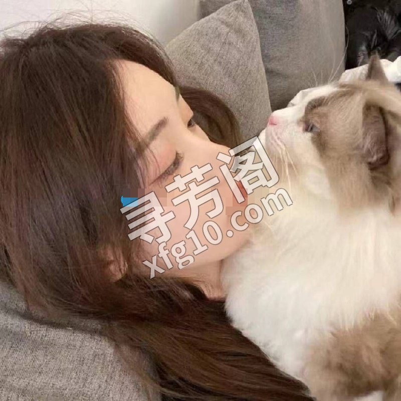 嘉兴嘉兴市南湖楼凤 2