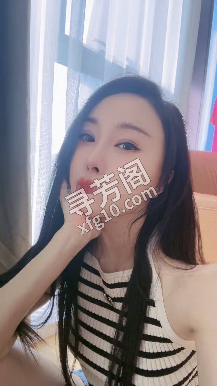 秦淮 700 2