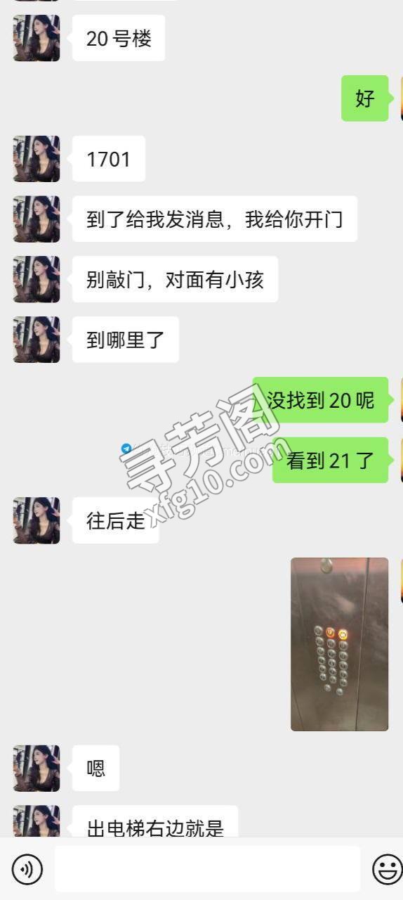 天津地楼凤 3