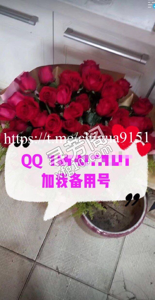 西湖 600 2