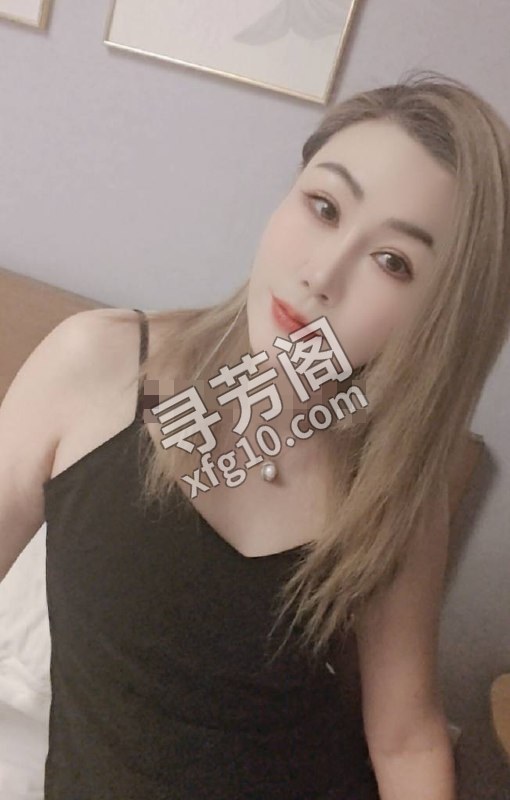 v 津南 500 2