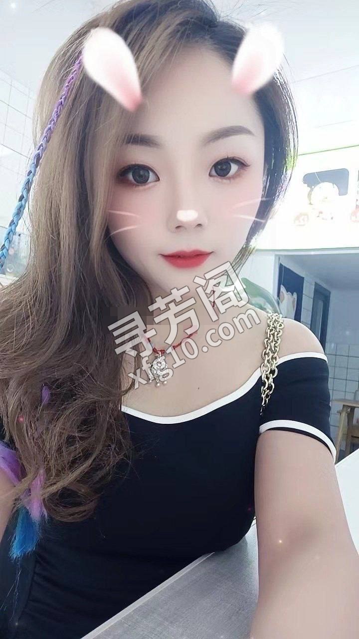 长沙天心楼凤 4