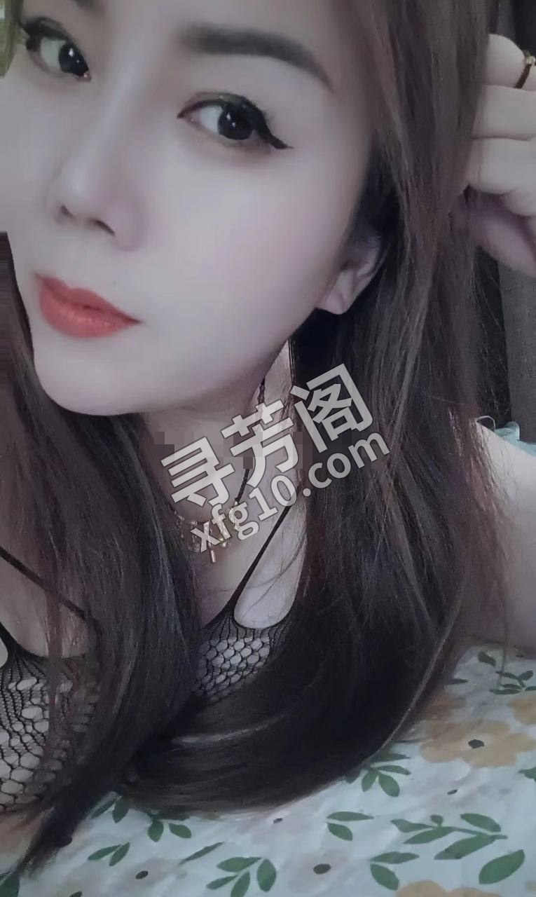长春楼凤 2