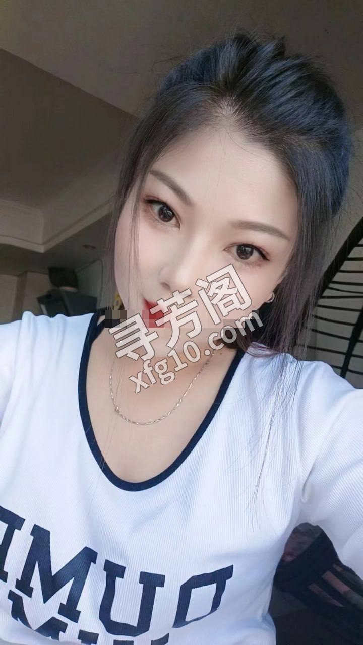 哈尔滨楼凤 2