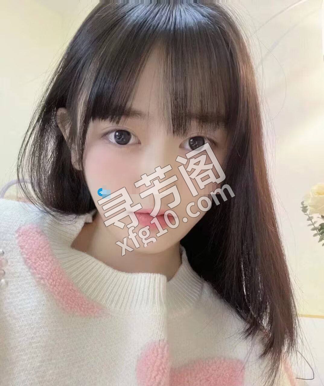 阜阳楼凤 2