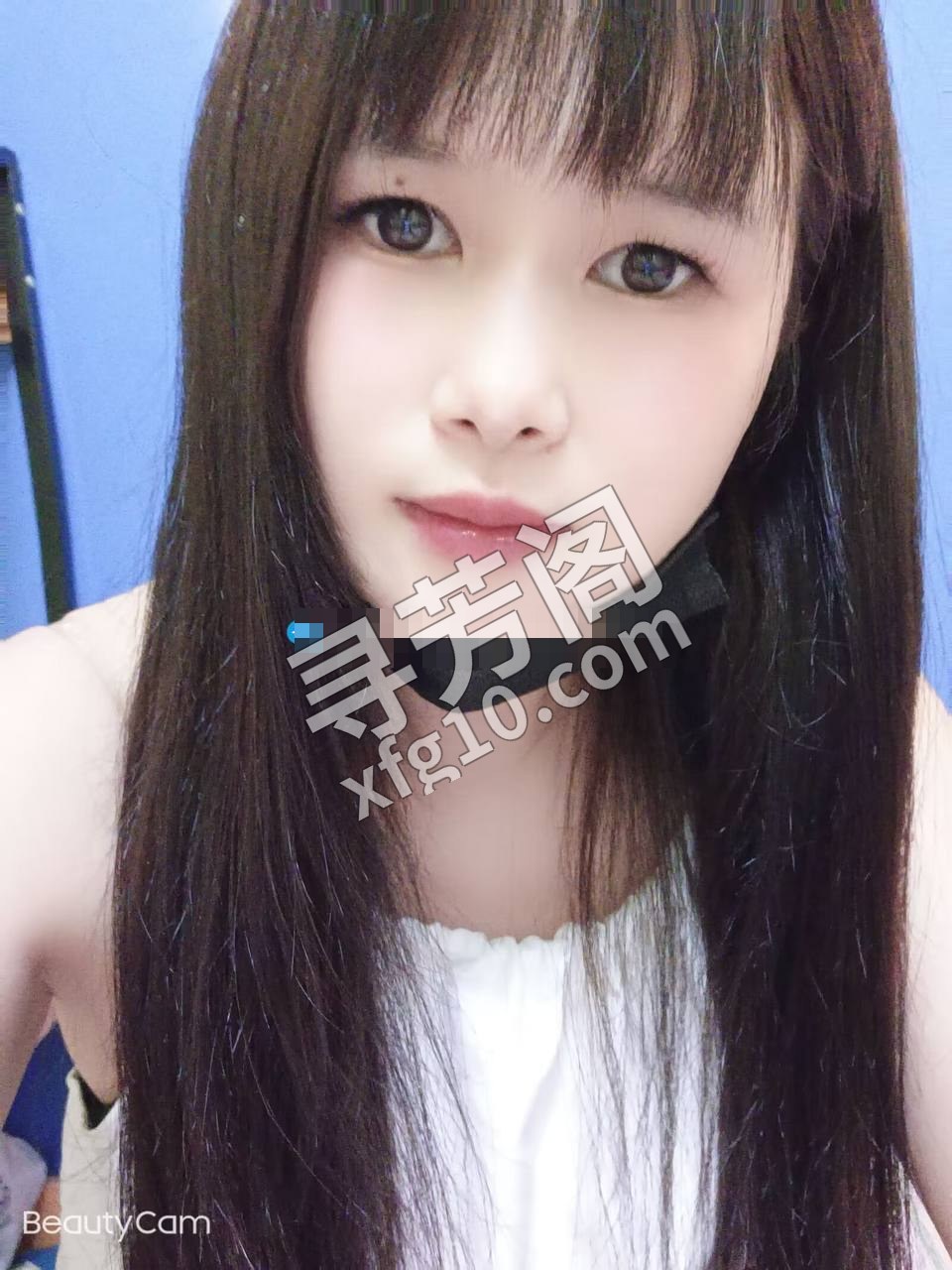 广州白云楼凤 2