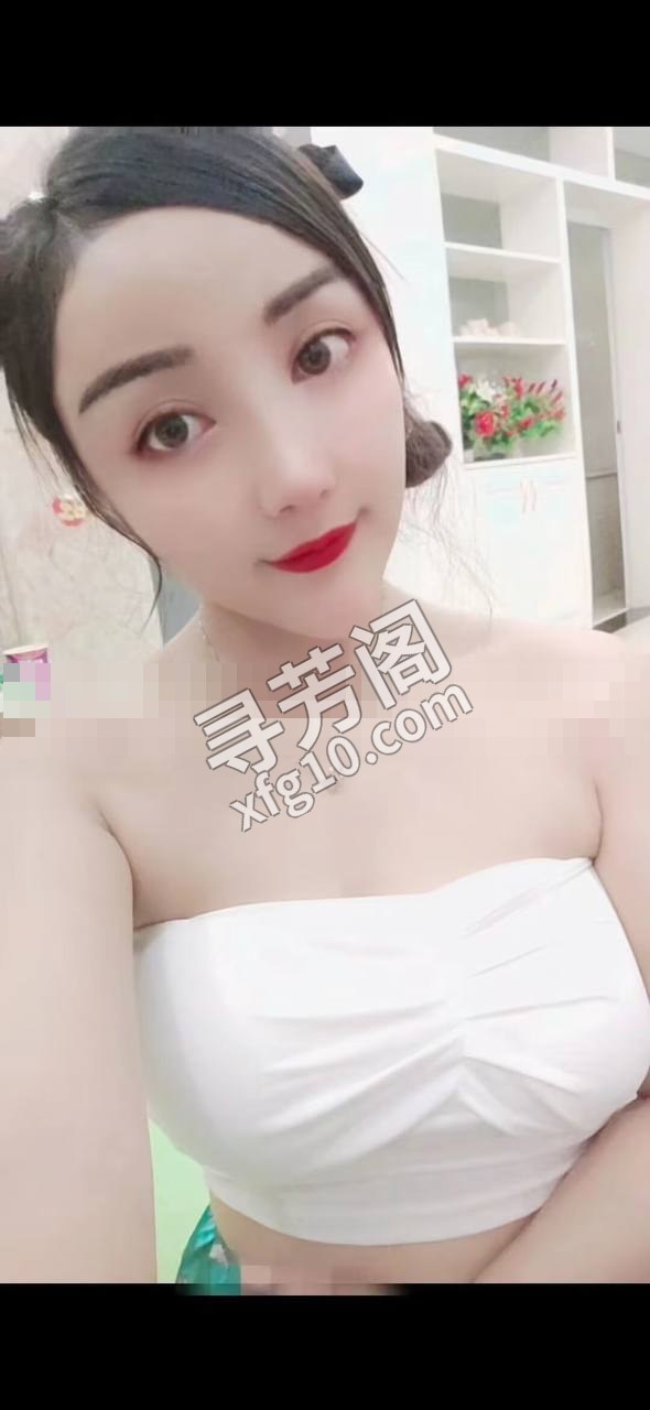 广州海珠楼凤 2