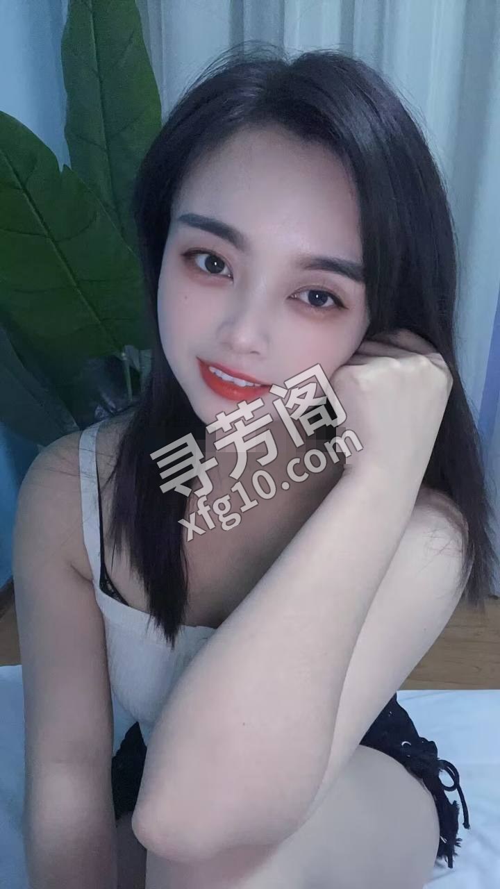 秦淮 400 2