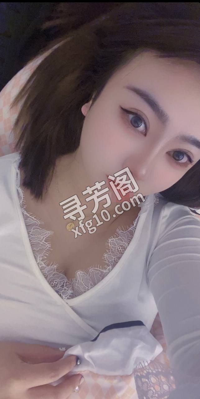 金州 600 3