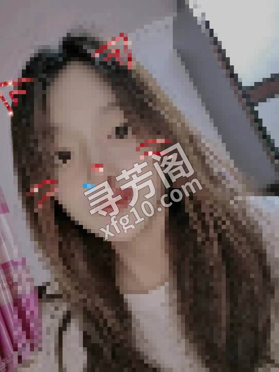天津同小楼凤 2