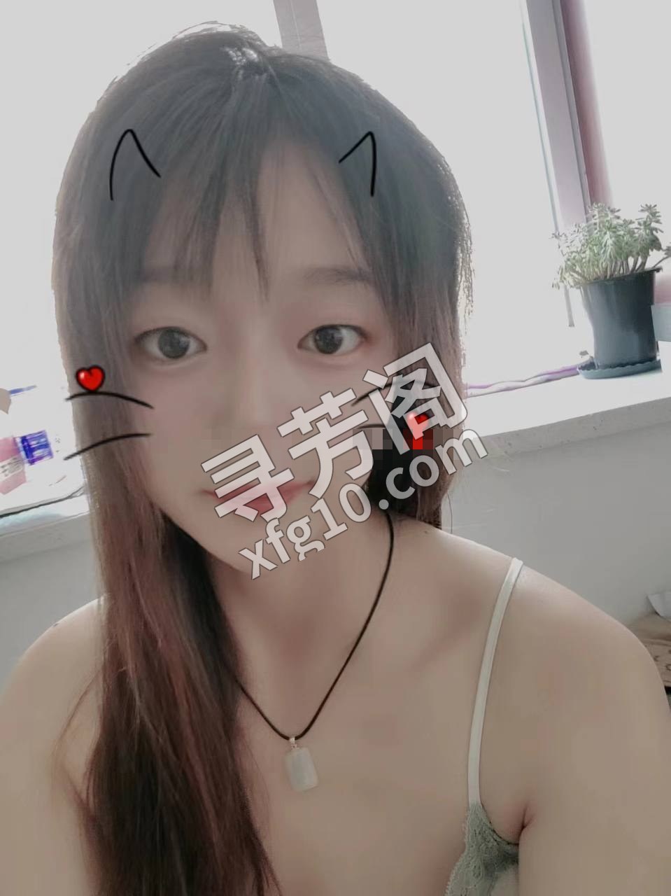 天津同小楼凤 3