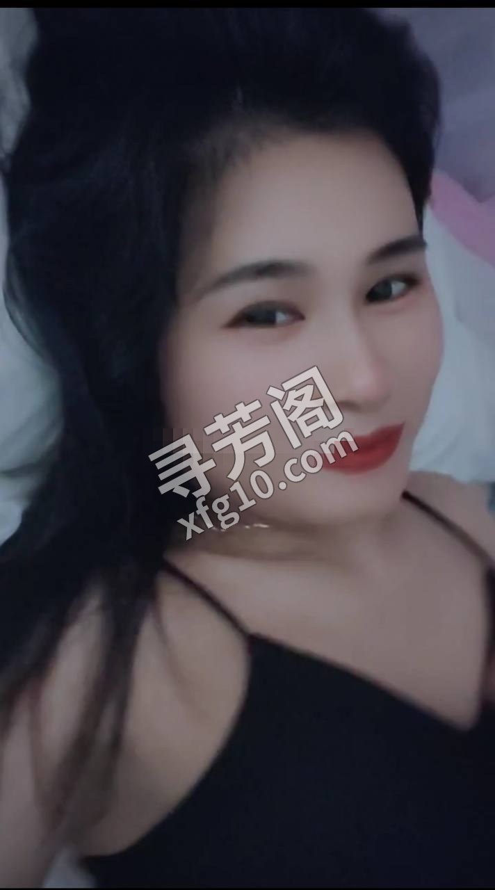 广州白云楼凤 3
