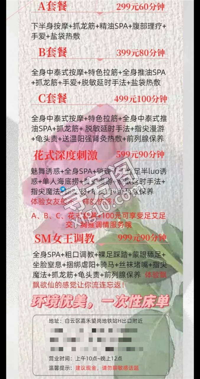 广州白云楼凤 5