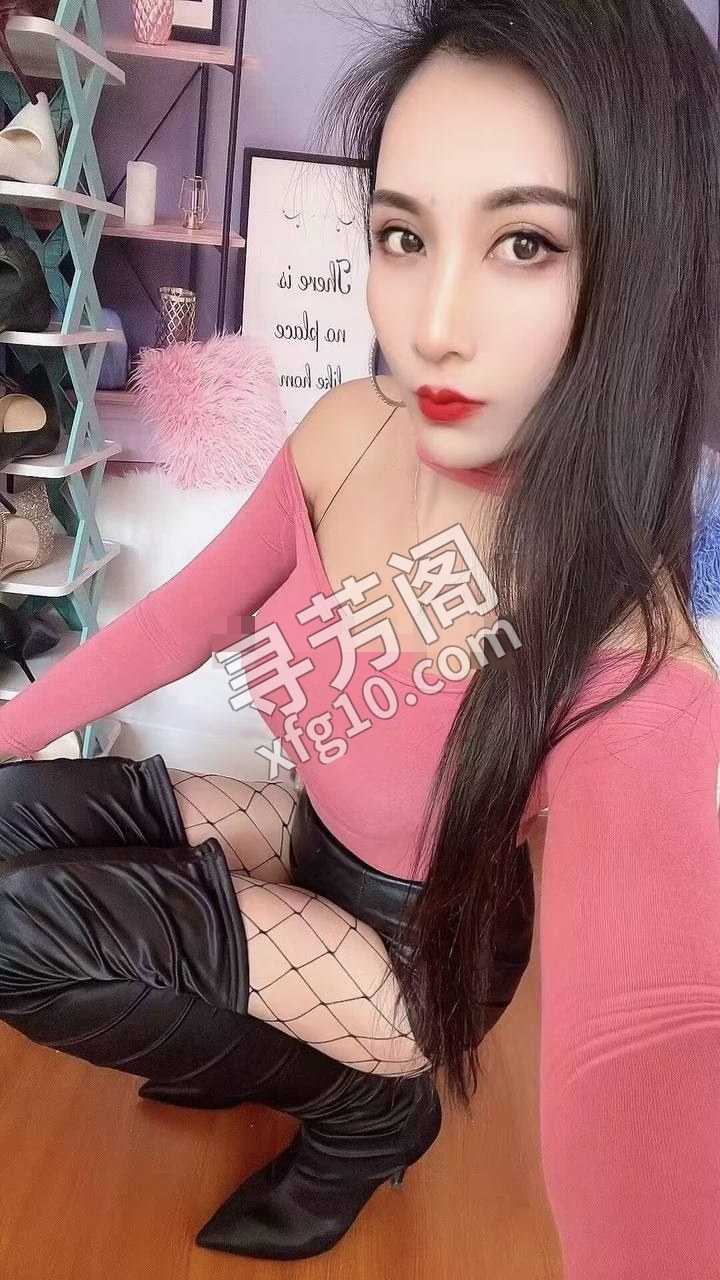 绿园区 4 2