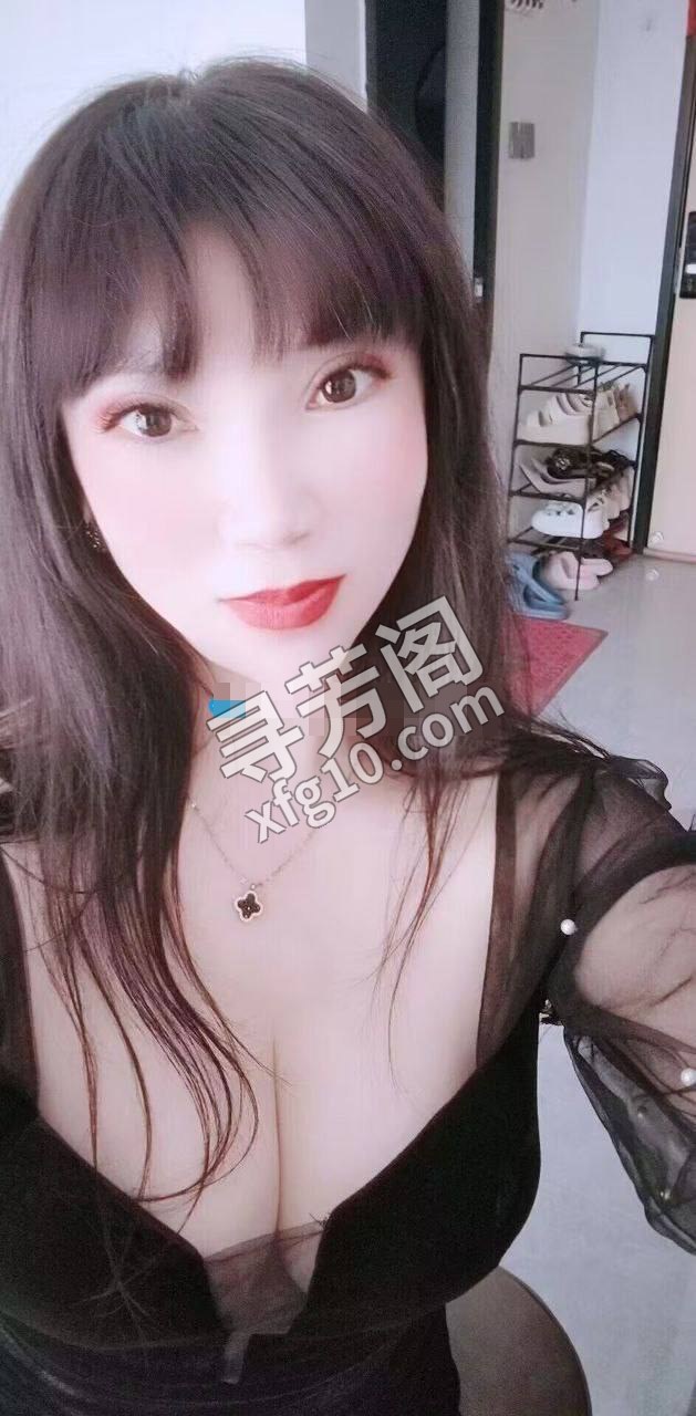 广州白云楼凤 4