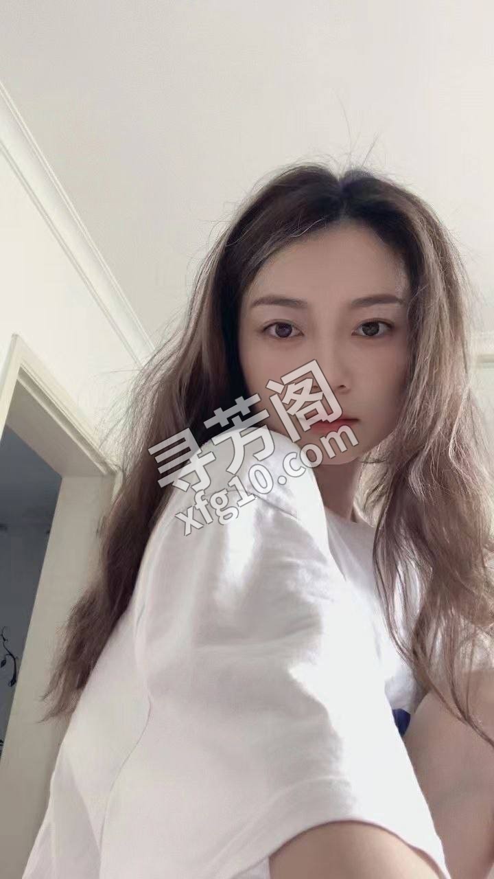 上海静安楼凤 2