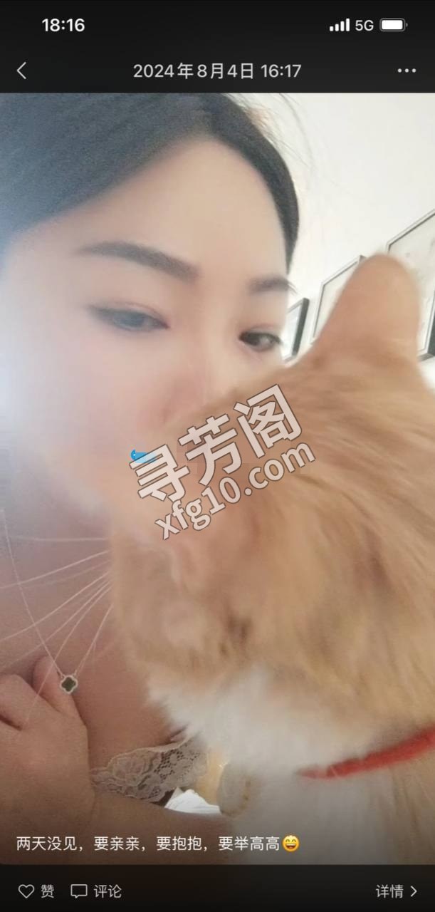 包头楼凤 3