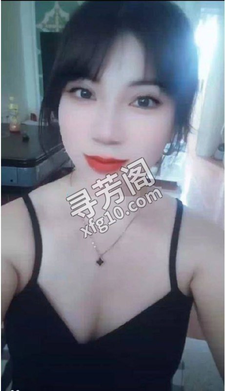 广州白云楼凤 2