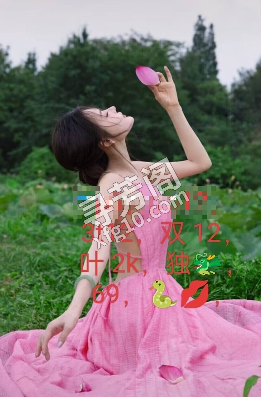 杭州楼凤 3