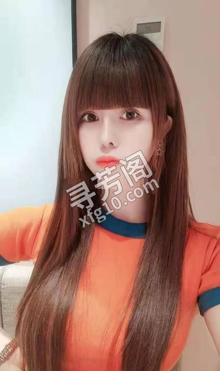 上海静安楼凤 2