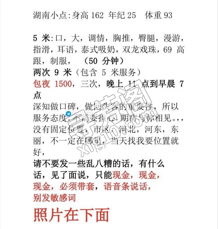 东丽 500 2