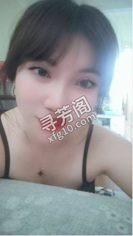 广州白云楼凤 3