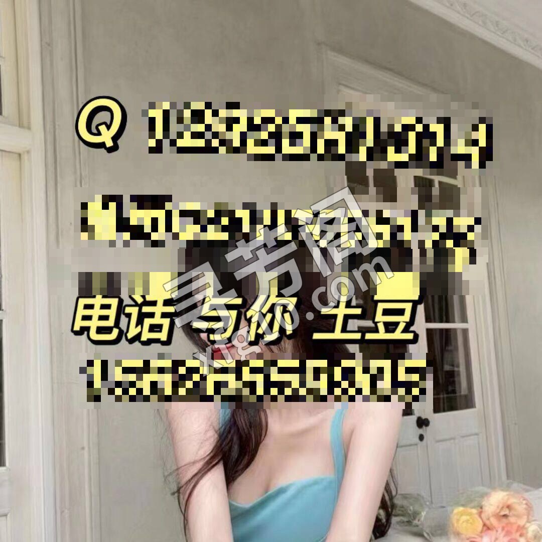 顺德 500 4