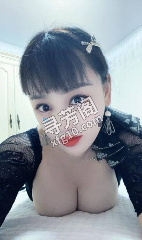 xiaodie 包河 500 2