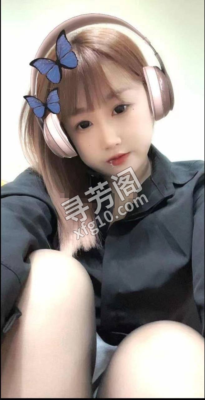 大连开发楼凤 2