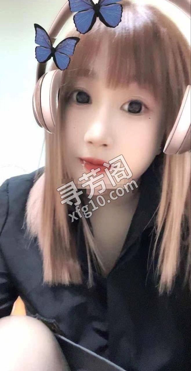 大连开发楼凤 3